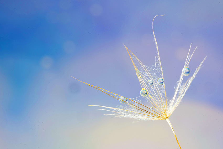 10.2.jpg resize,m_lfit,w_120