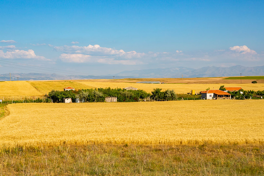 56.2.jpg 千库网_麦田里的房子_摄影图编号66377 (1).jpg