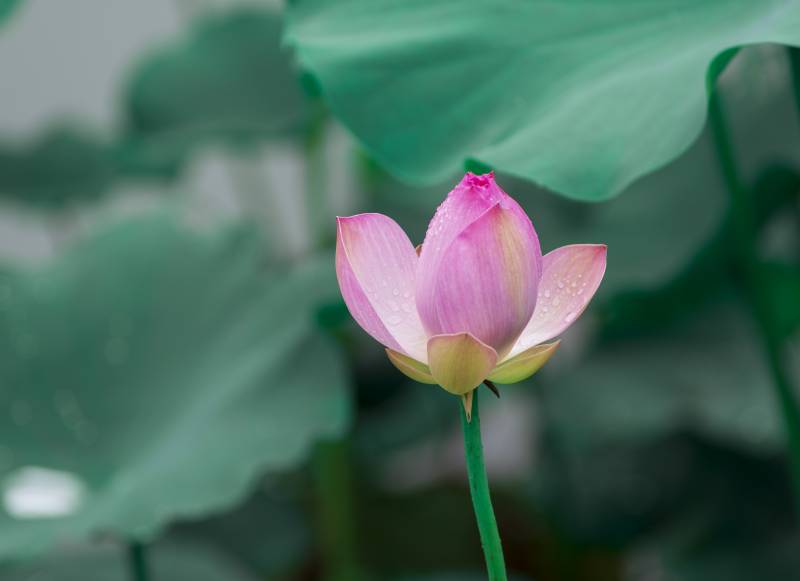 1 (20)(1).jpg 1 (20).jpg